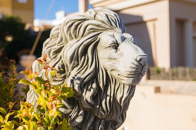 Stone lion statue. Marble Sculpture of a lion on pedestal.