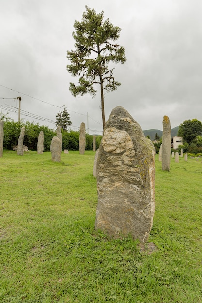 Photo stone monolith in the los menhires archaeological reserve located in el mollar in tucuman