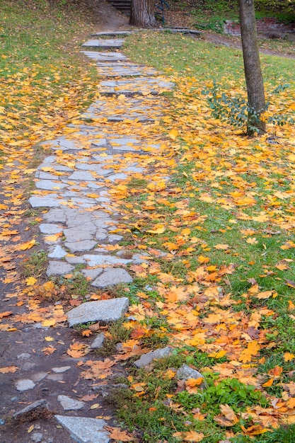 사진 가을에 도시 공원의 땅에 돌길과 노란 낙엽