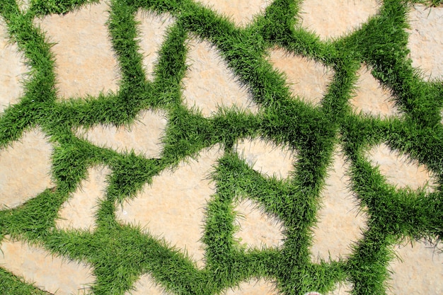 Stone path in green grass garden texture