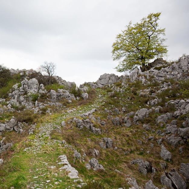 Stone path on the mountain to the sky