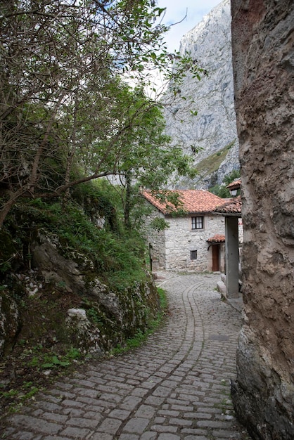 Sentiero in pietra nel villaggio di montagna