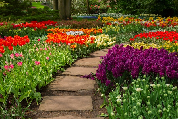 Photo stone path winding in spring flower garden with blossoming flowers