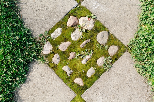 Stone path with sprouted moss