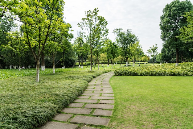 緑豊かな緑の公園の石の通路