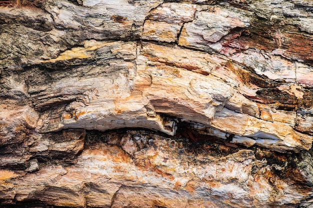 Stone pattern background