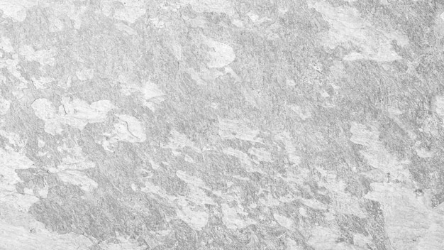 Stone pattern white gray background