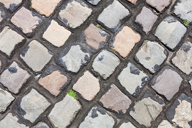 Stone pavement background with weeds Modern style design