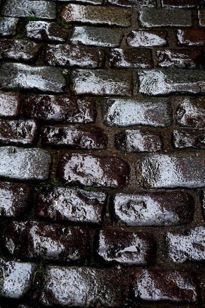 Stone pavement on the street in the rain