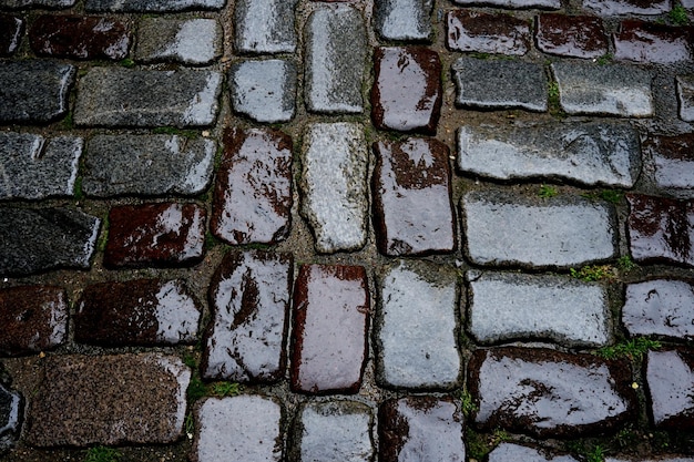 Stone pavement on the street in the rain