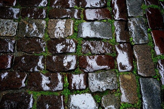 雨の中の路上にある石畳