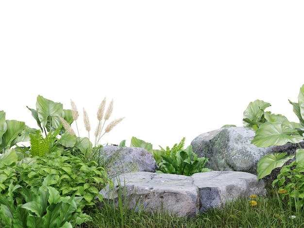 Stone platform in meadow for product presentation and on transparent background