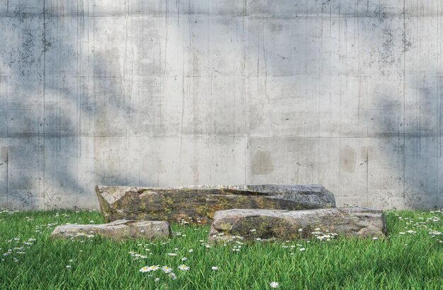 Stone podium for product on lawn with tree shadow and concrete wall