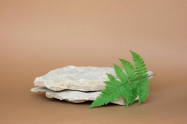 Stone Podium for promotion on beige Background Natural pedestal Rock Beauty product mockup Scene to show products Showcase display case Front View soft shadow Green fern leaf wooden branch