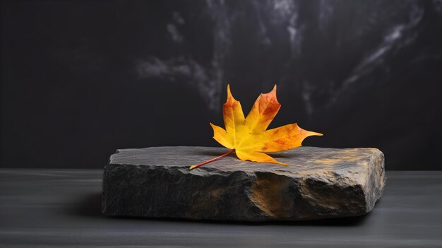 Stone podium with autumn maple leaf