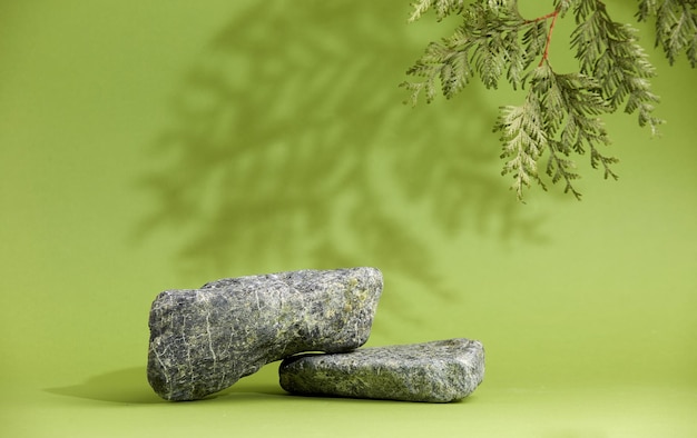 化粧品用の松の木の枝の影石の緑の背景表示を持つ石の表彰台