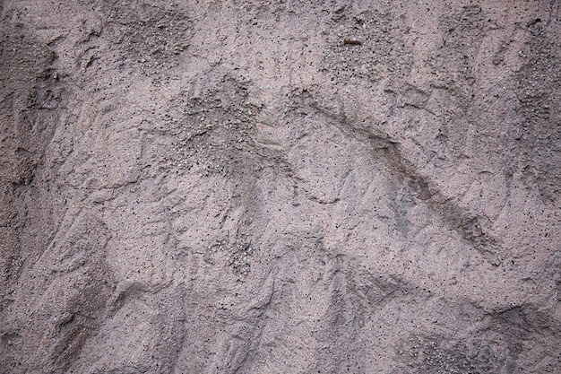 The stone relief background of the wall is graybrown