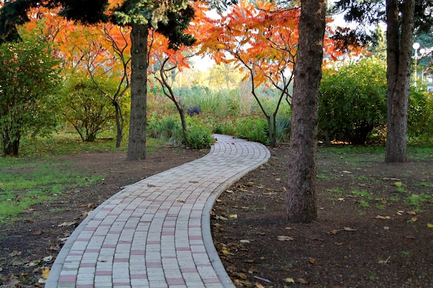 Stone road in autumn park background image