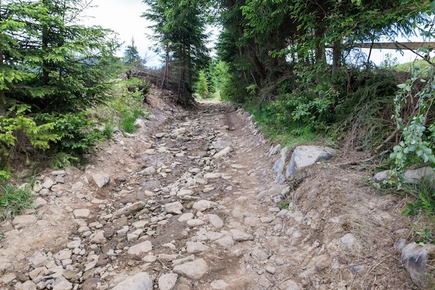 Stone road in Carpathian mountains Ukraine