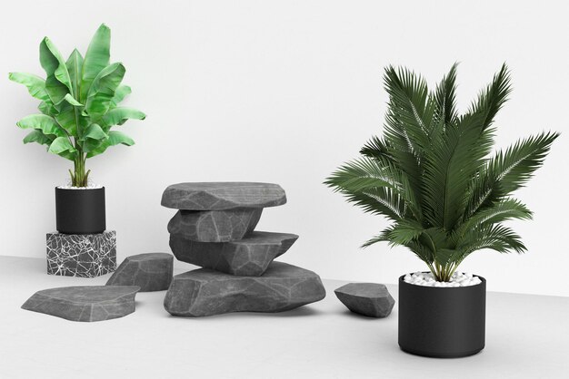 Stone rock blad plant flora groene kleur natuurlijke lege mock up product luxe minimale organische spa podium sjabloon ontwerp moderne presentatie mode ontspanning kopie ruimte zakelijke banner3d render