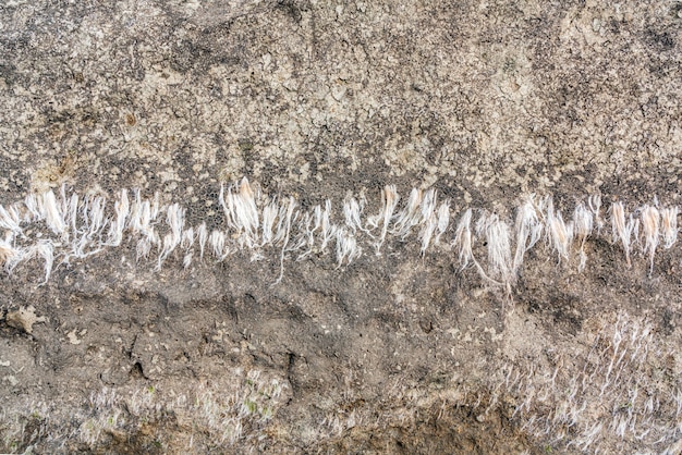 Struttura del fondo della superficie della roccia di pietra