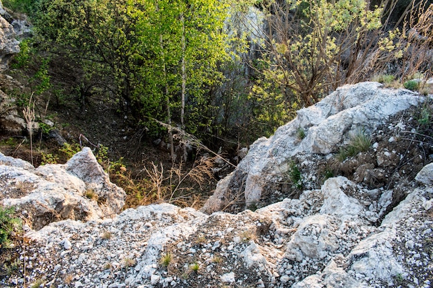 Stone rock texture