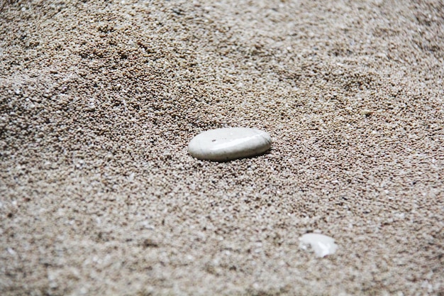 Photo stone on sand