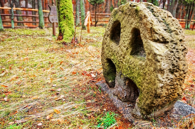 Scultura in pietra nel villaggio etnografico all'aperto a riga, lettonia