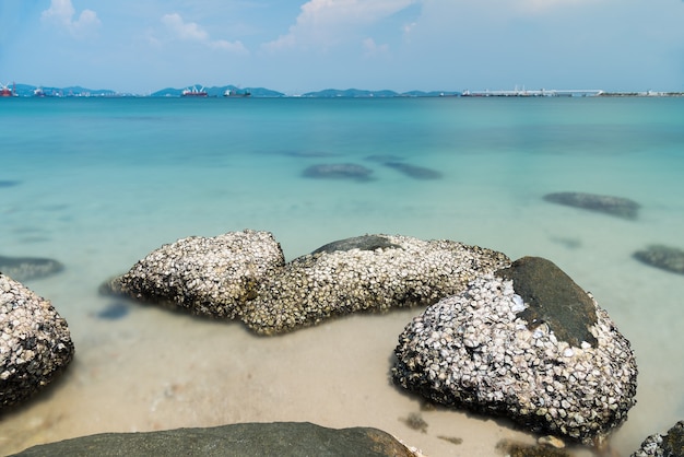 長い暴露で朝の時間に海と波の石