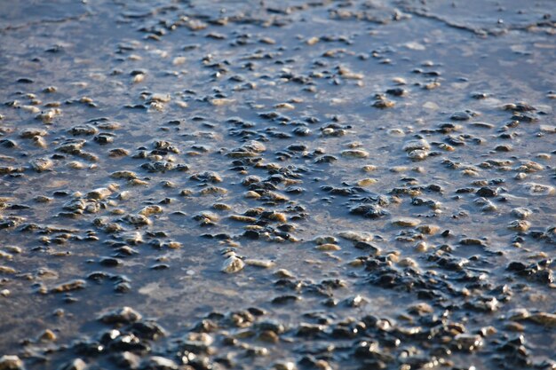 水で汚れた石土