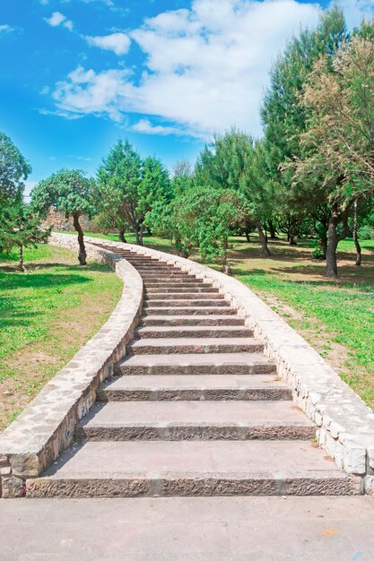 Stone staircase in a park