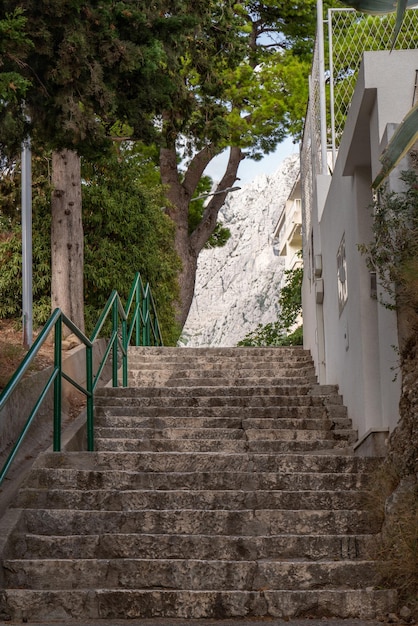 Stone staircase with railings among green pine trees Road to the sea High mountains ahead Vacation