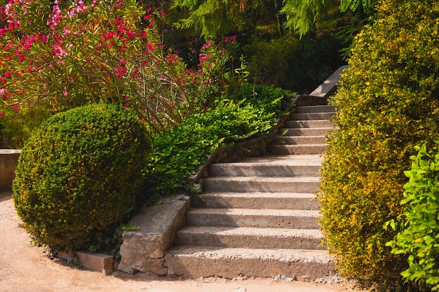 Stone stairs between decorative green trees and flowers in the garden. Beautiful summer nature background.