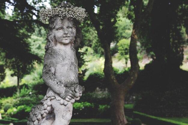 Photo stone statue in garden