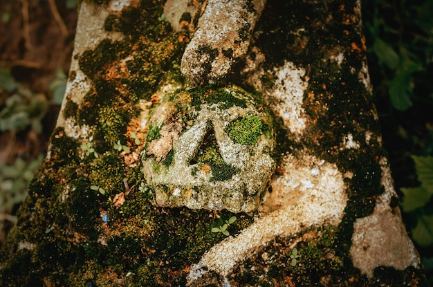 Stone statue overgrown with moss Stone skull