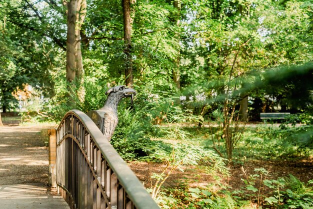 Foto ponte a gradini in pietra nel parco