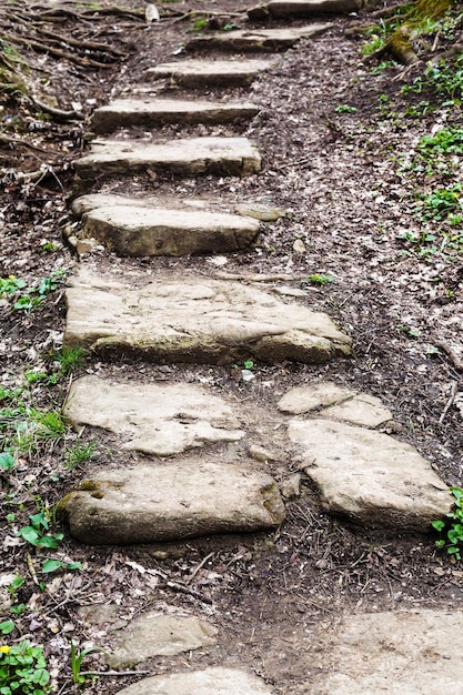 Stone steps from ravine