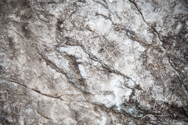 Stone surface background.