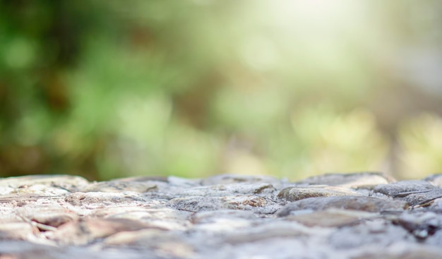 Stone table top empty and blur of nature The tree can be used for displaying or editing your productsxA