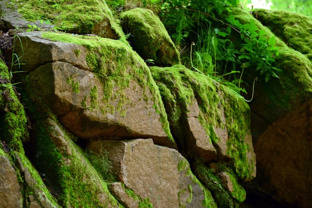 Stone texture closeup