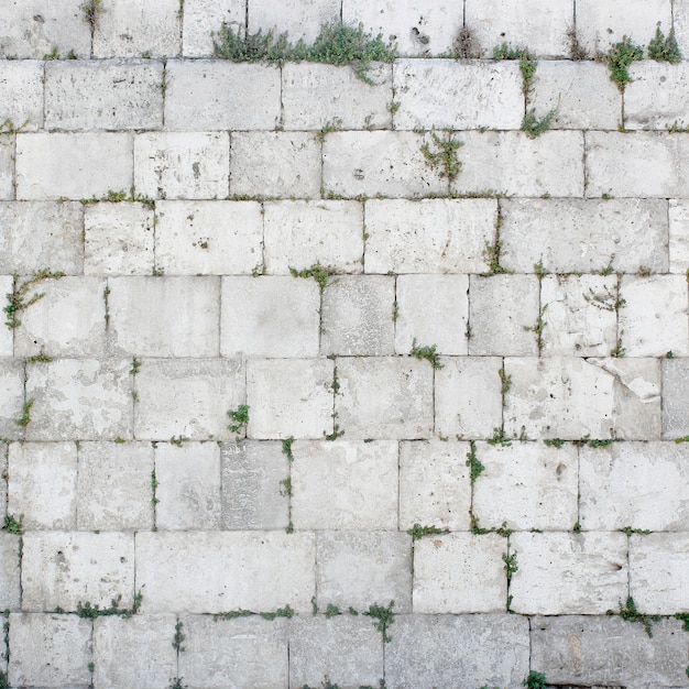 写真 石のテクスチャや背景