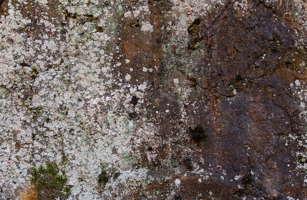 Каменная структура с ржавчиной и лишайником. Органический фон.
