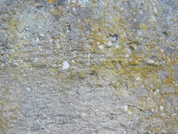 Stone texture