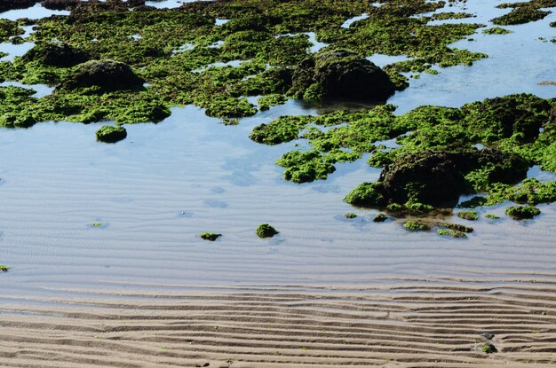 Stone Trench of Laomei Coast