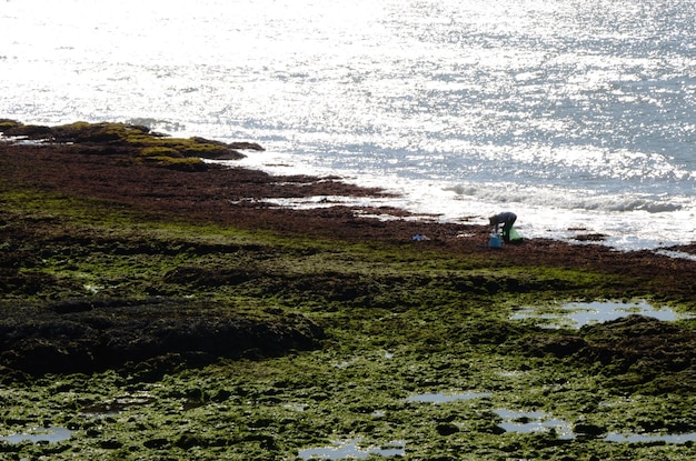 老美海岸石塹壕