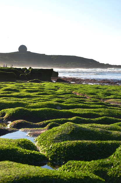 Stone Trench of Laomei Coast