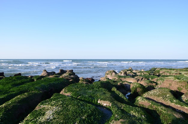 Stone Trench of Laomei Coast