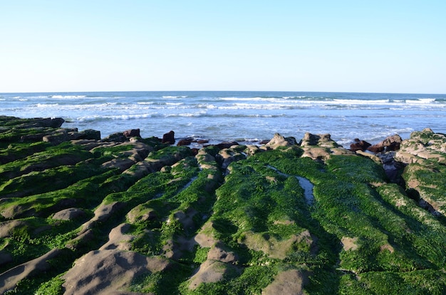 Stone Trench of Laomei Coast