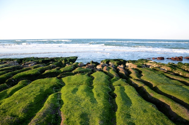 老美海岸石塹壕