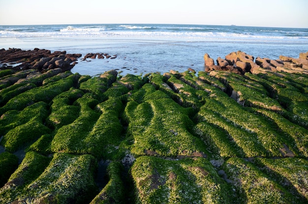 Stone Trench of Laomei Coast